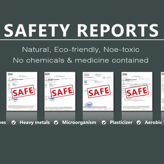 Safety Reports